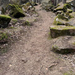 23-03-04 14-29-44 4719